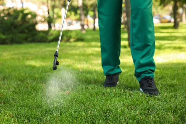 Pest Control for Restaurants in Weimar, TX