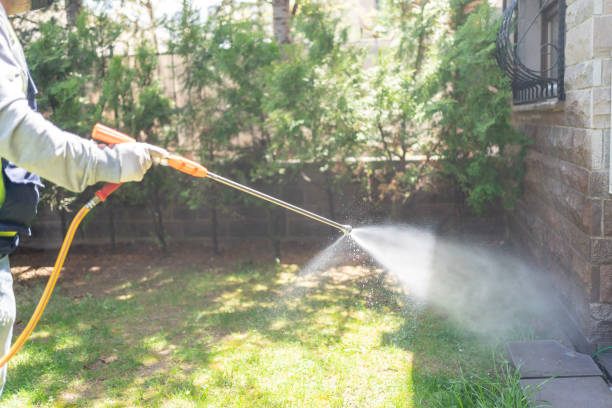 Best Local Pest Control Services  in Weimar, TX