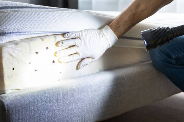 Best Best Pest Control Companies  in Weimar, TX