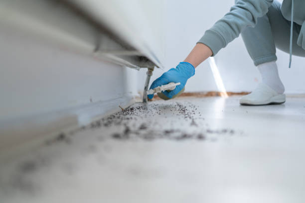 Best Pest Inspection Near Me  in Weimar, TX