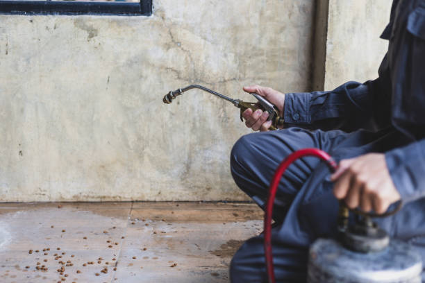 Professional Pest Control in Weimar, TX